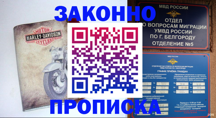 прописка для школы в Ессентуках